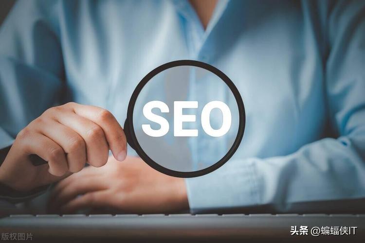 seo关键词排名查询