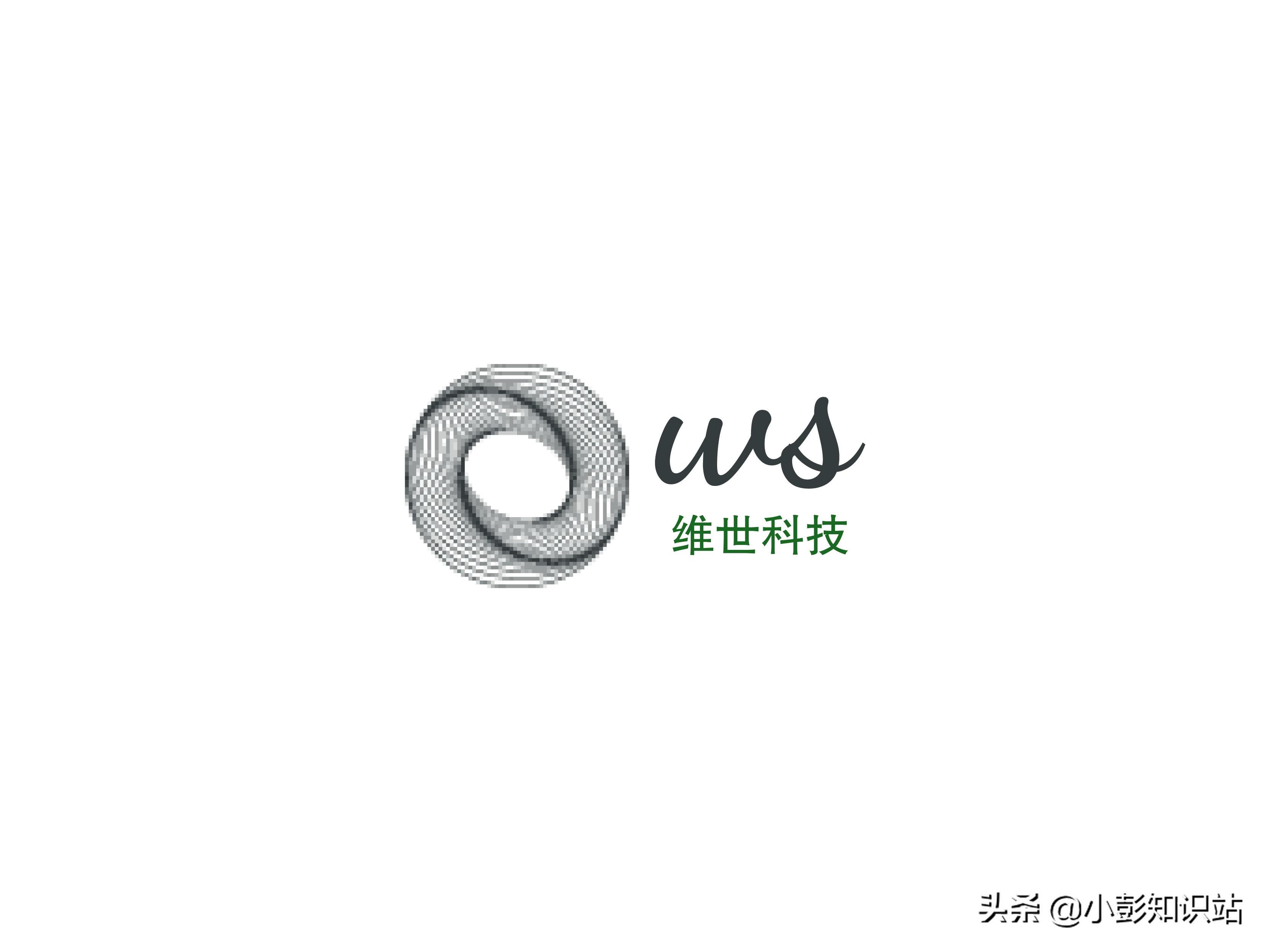 什么意思