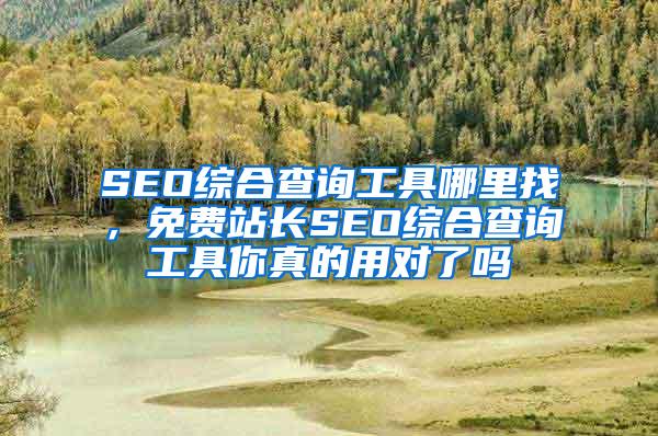 查询