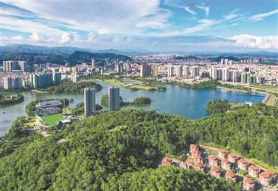 阳江seo
