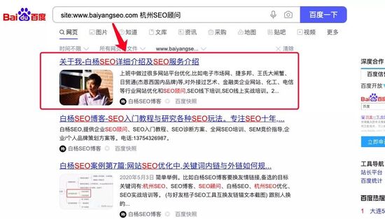 百度seo排名优化软件