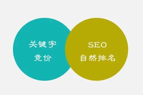 百度seo排名公司哪家好