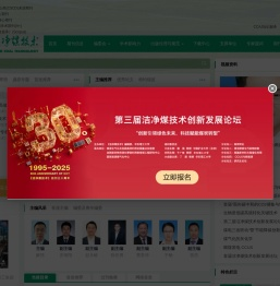 洁净煤技术