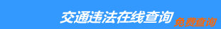 （手机版）大连交通违章查询