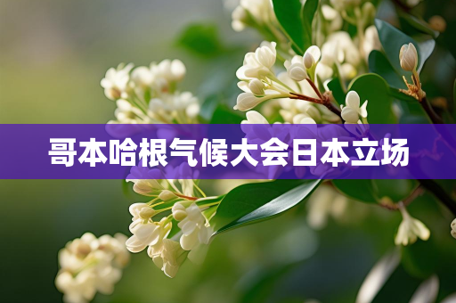 天气信息报告