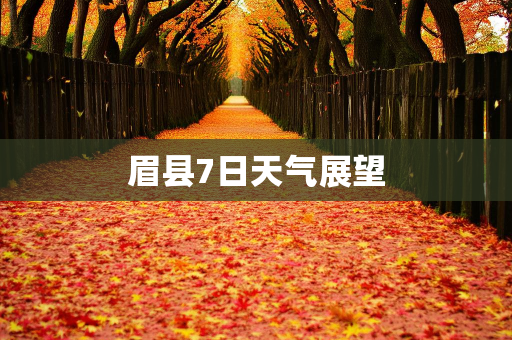 气候知识