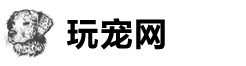来橙宠物网
