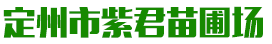 定州市紫君苗圃场