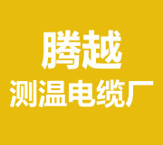 测温电缆