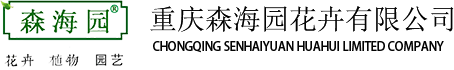 重庆植物租赁