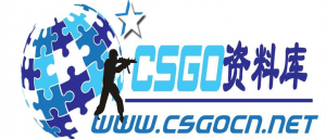 CSGO资料库