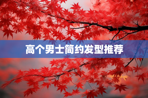 云美网