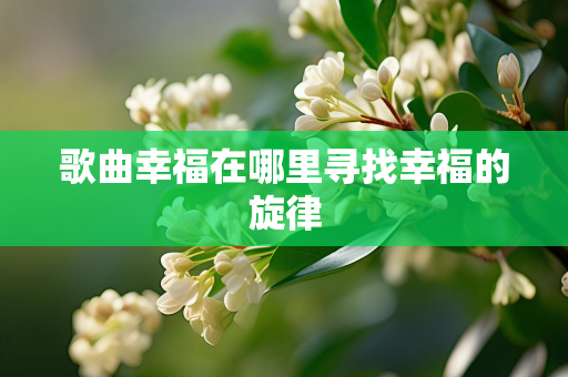 曲谱大全