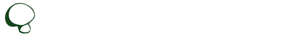 黑皮鸡枞菌