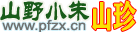 桑树桑黄批发价格多少钱一斤