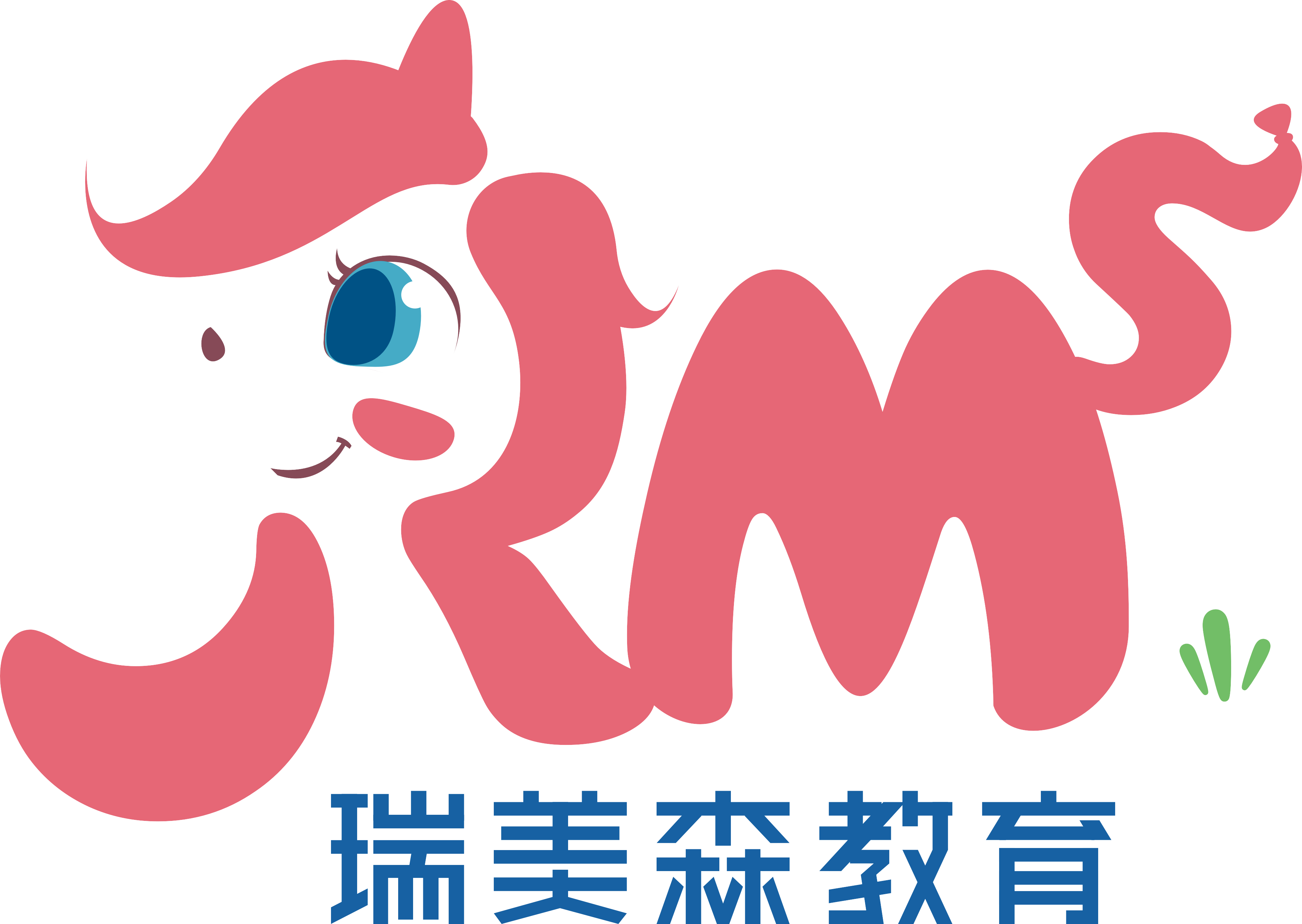 瑞美森教育