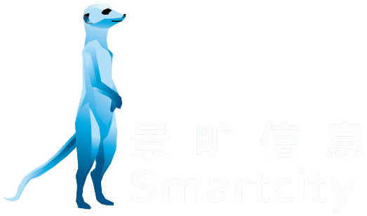 智慧城市运营商