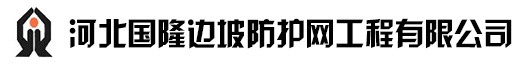 环形网