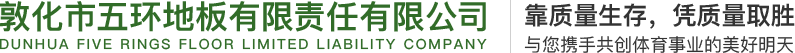羽毛球馆运动木地板