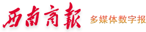 西南商报2025年01月01日