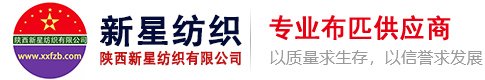 陕西新星纺织有限公司