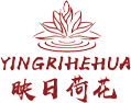 呼和浩特市映日荷花舞蹈艺术培训教育